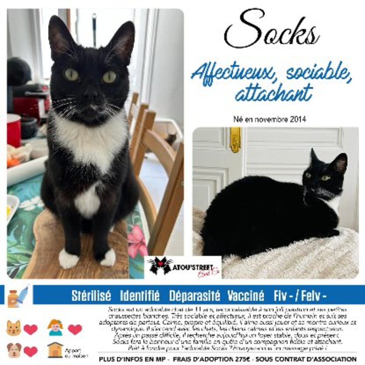 Adoption Socks