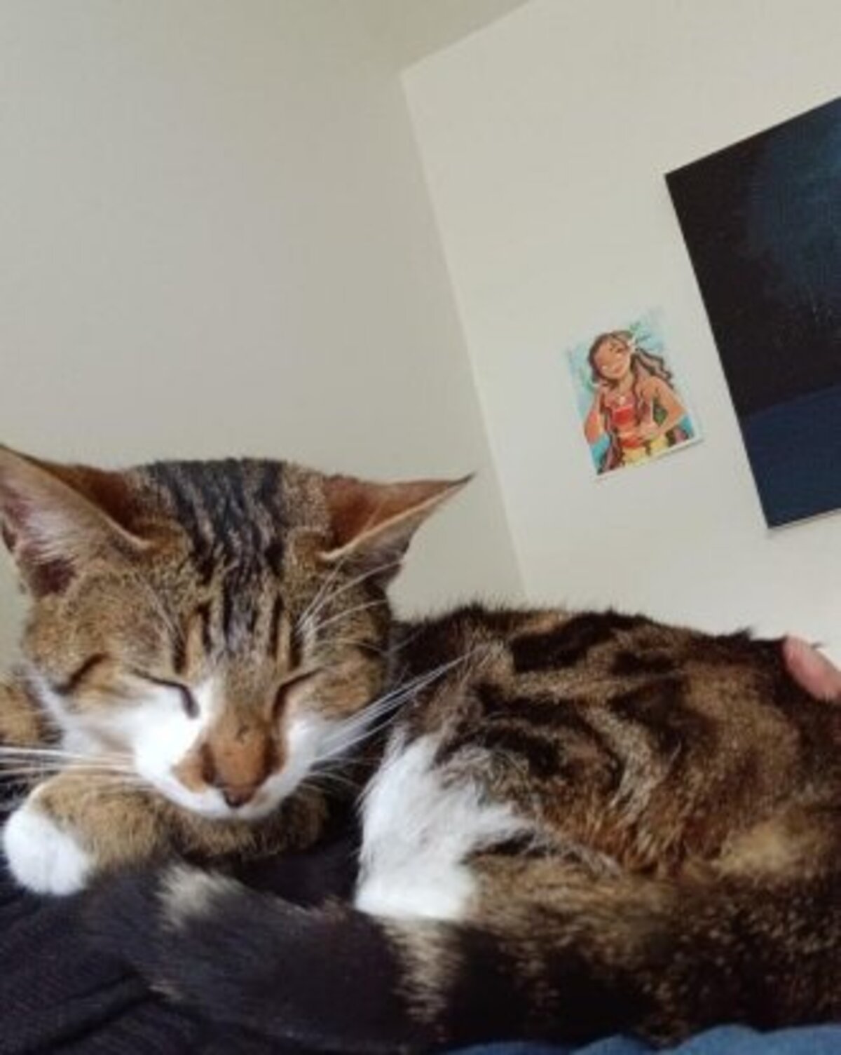 Adoption St brice