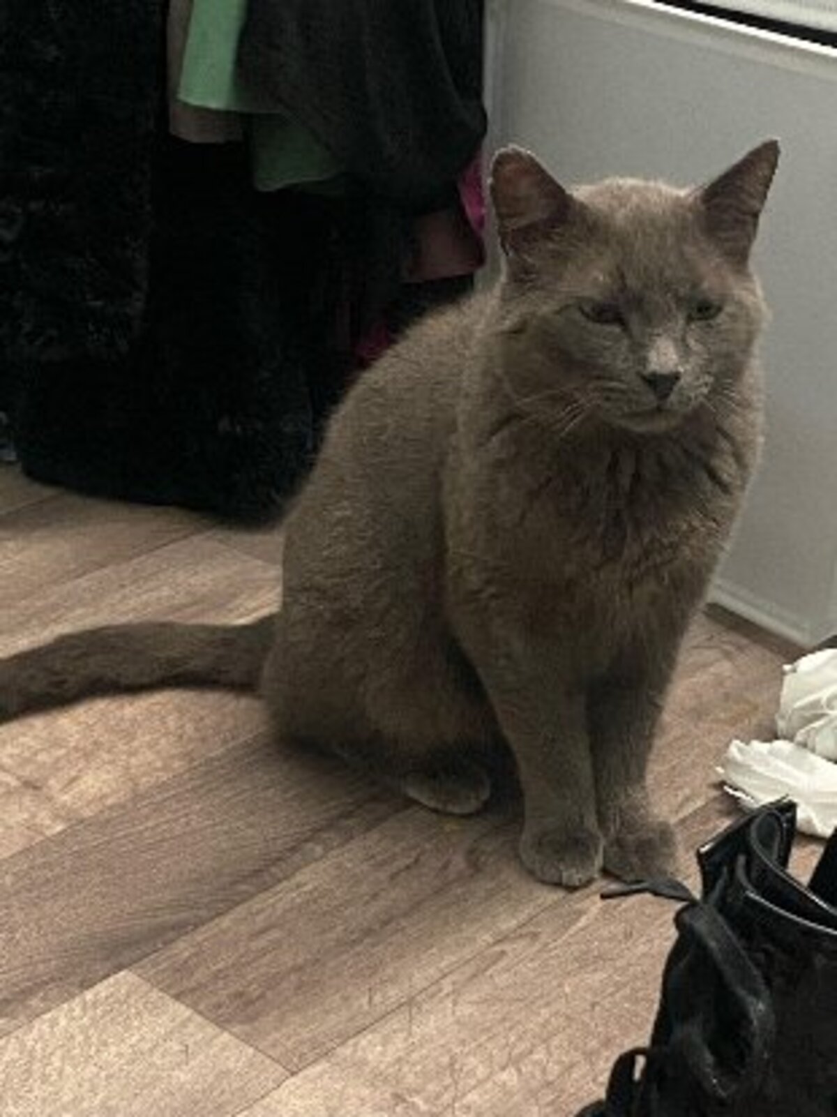 Adoption Sultan fiv +