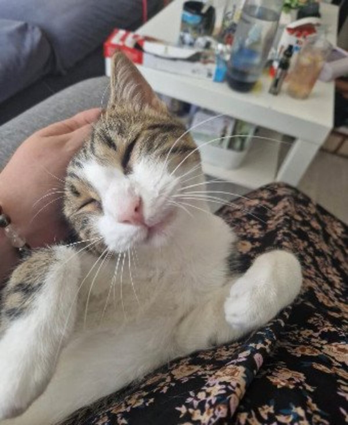 Adoption Val