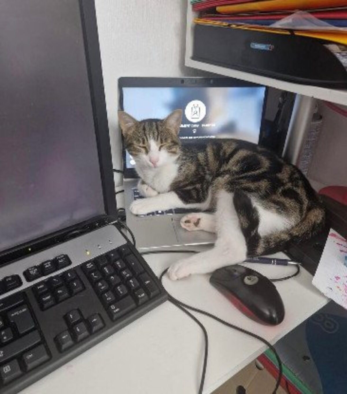 Adoption Val