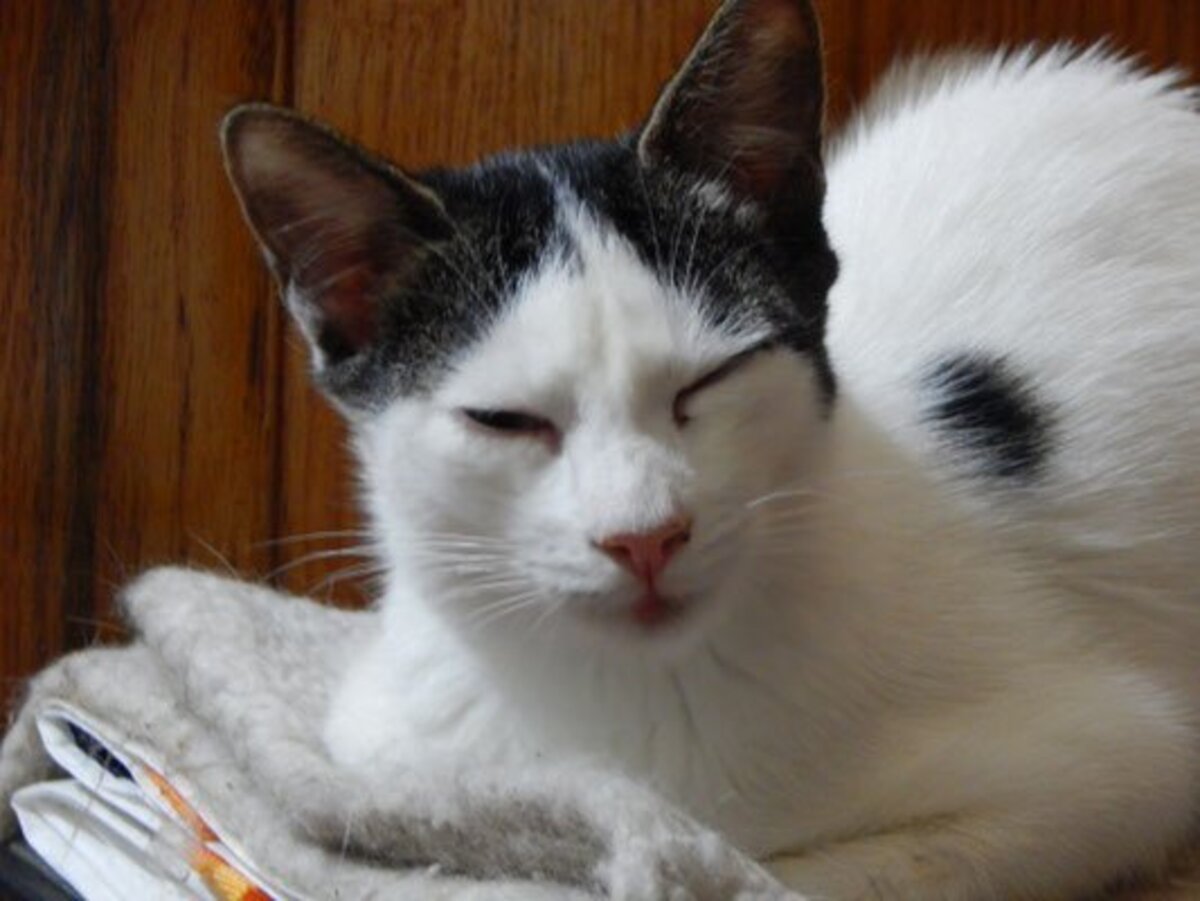 Adoption Valentin