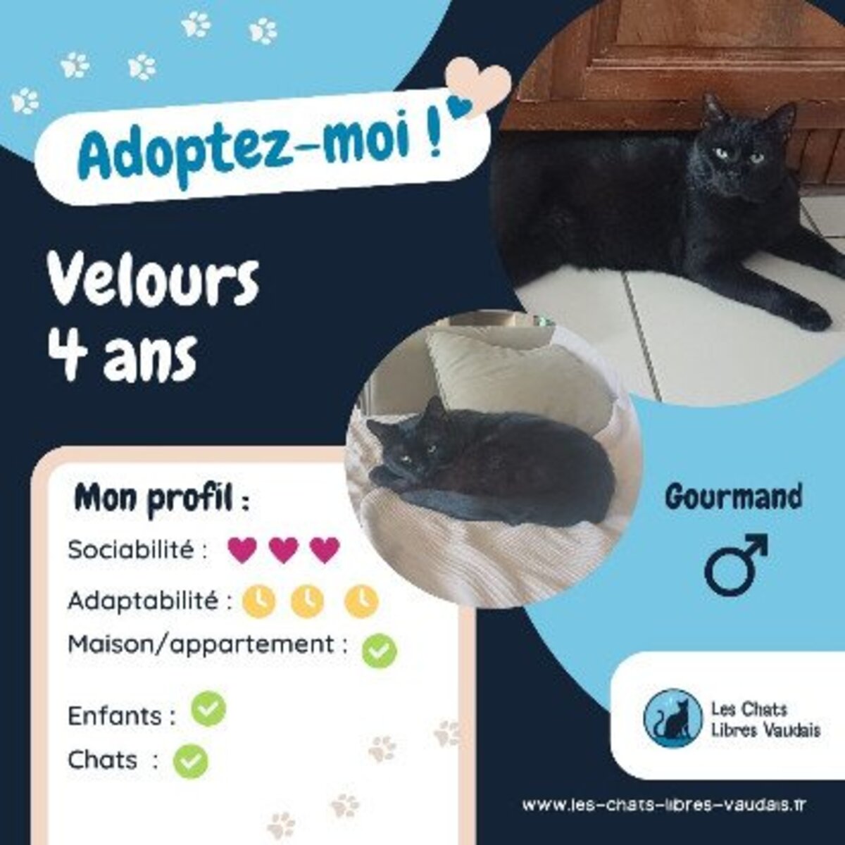 Adoption Velours