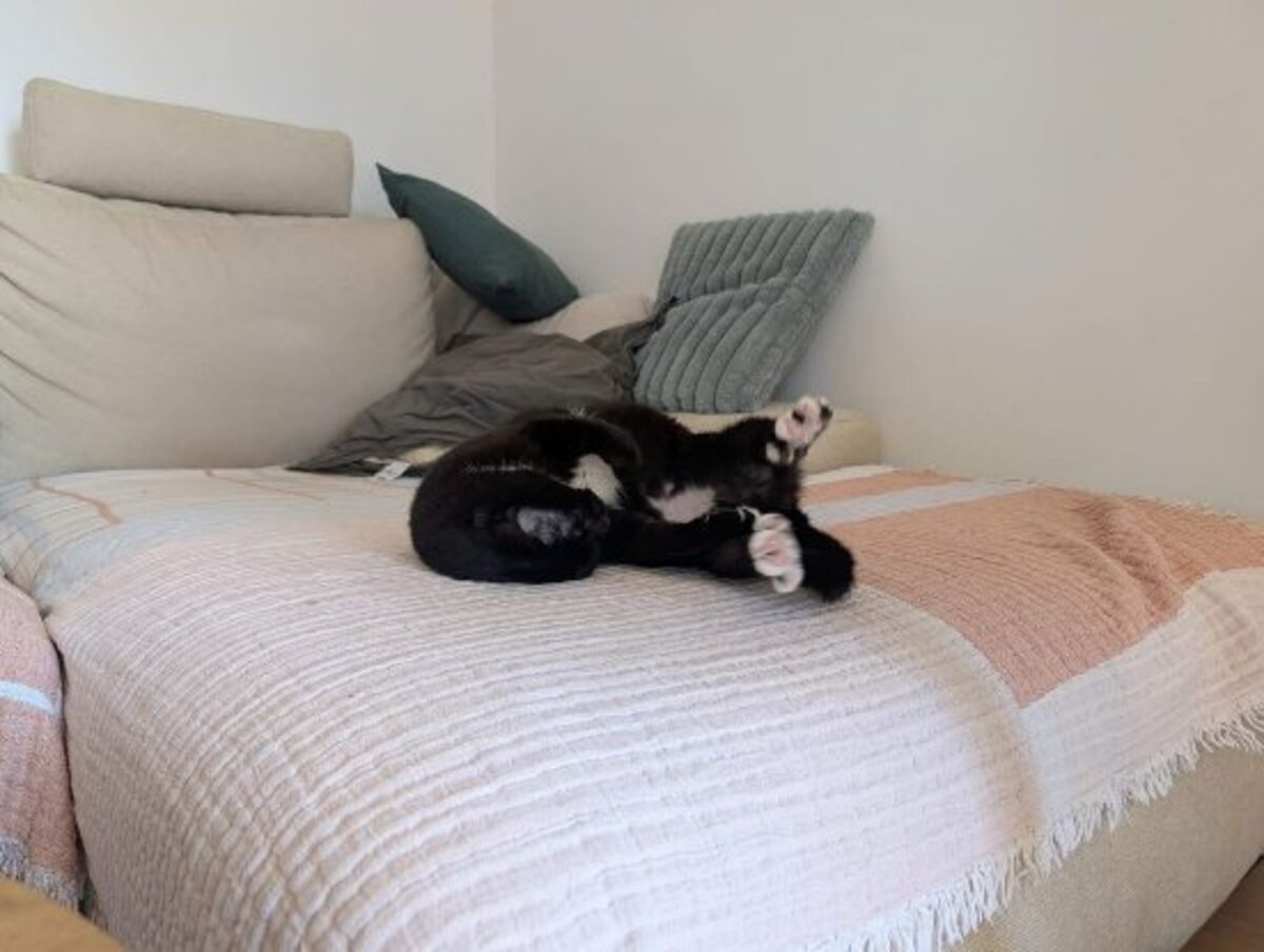 Adoption Yuna