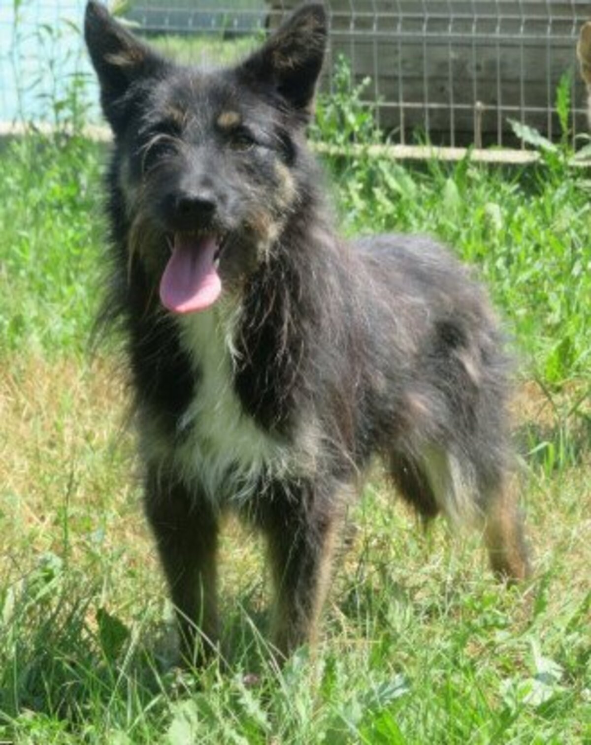 Adoption Abel