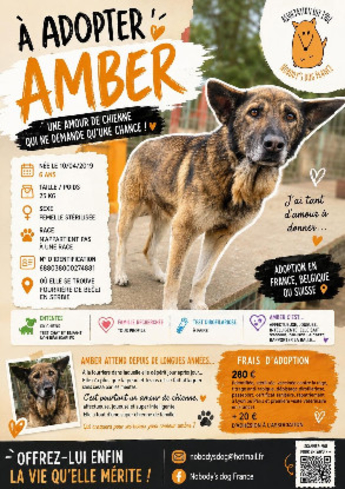 Adoption Amber