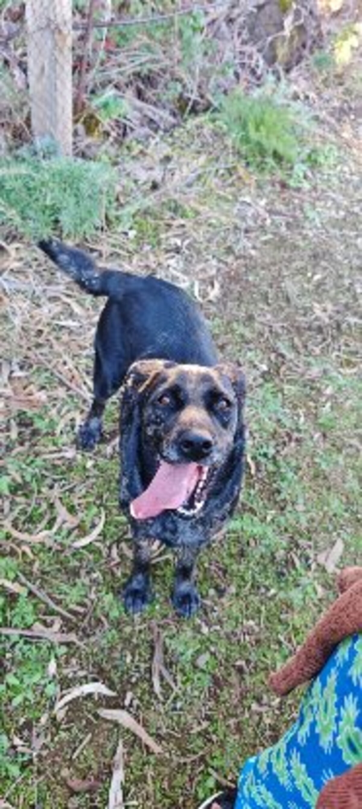 Adoption Andrea