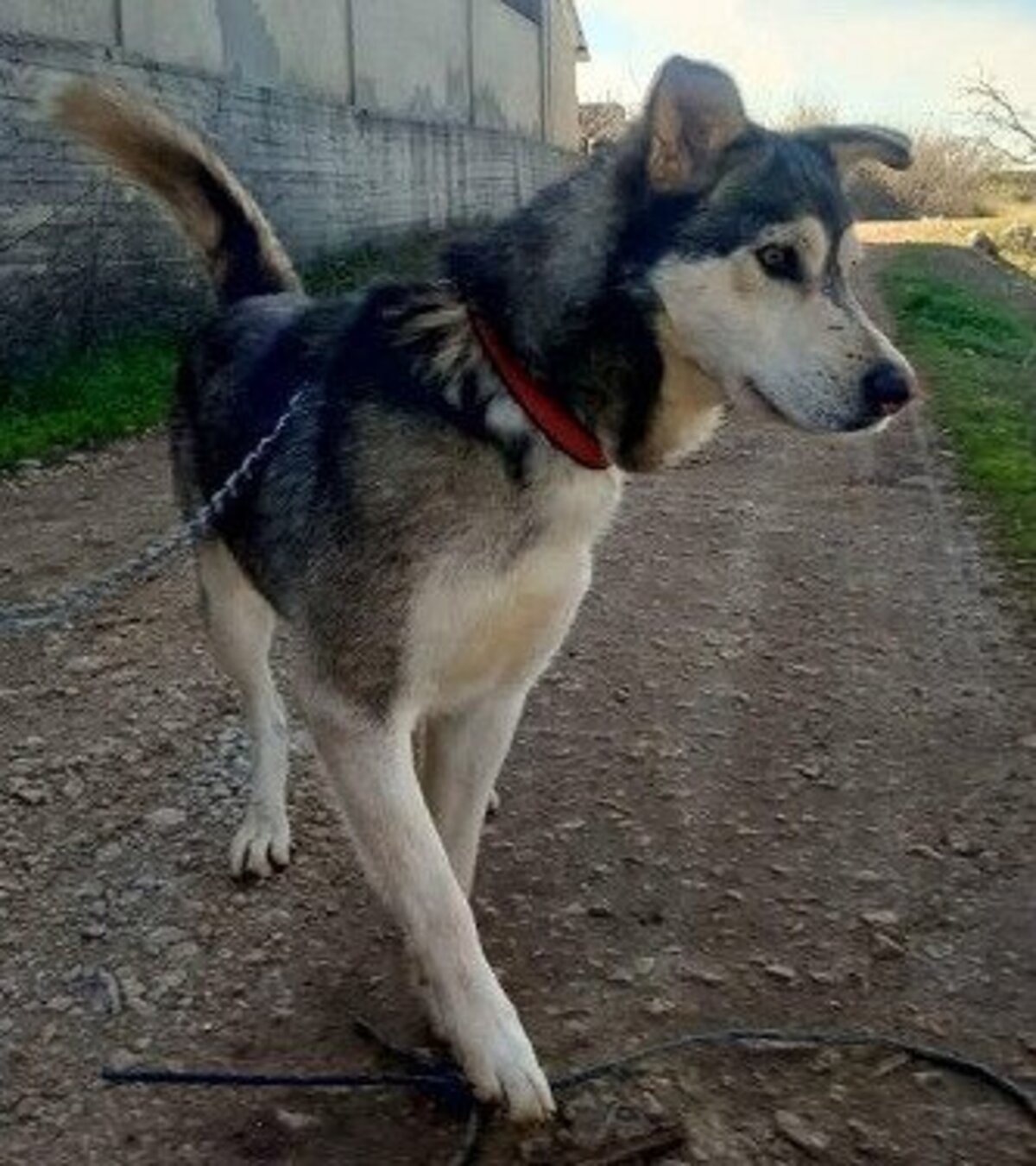 Adoption Atlas
