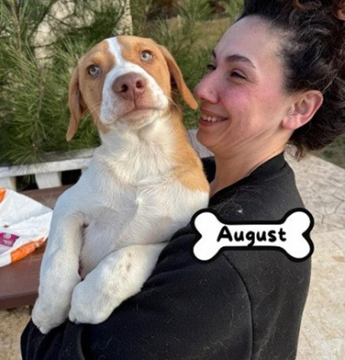 Adoption August