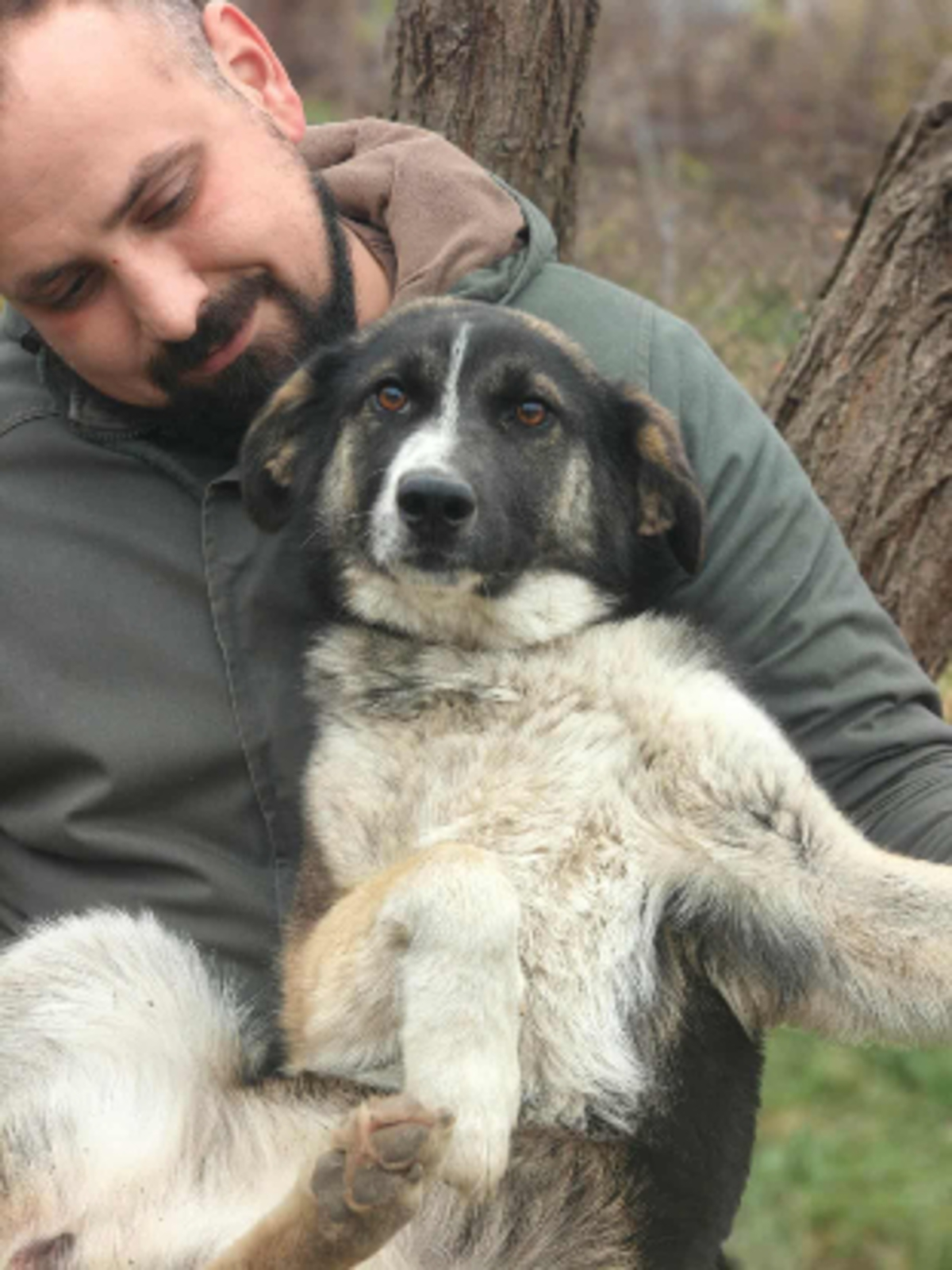 Adoption Ava
