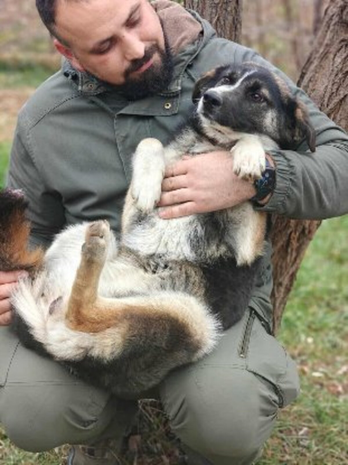 Adoption Ava