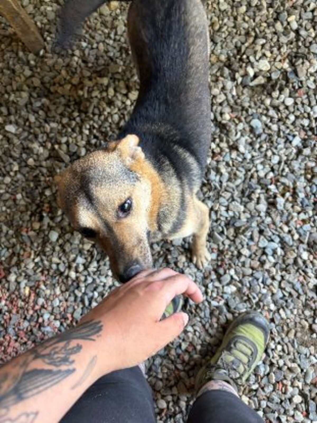 Adoption Bélize