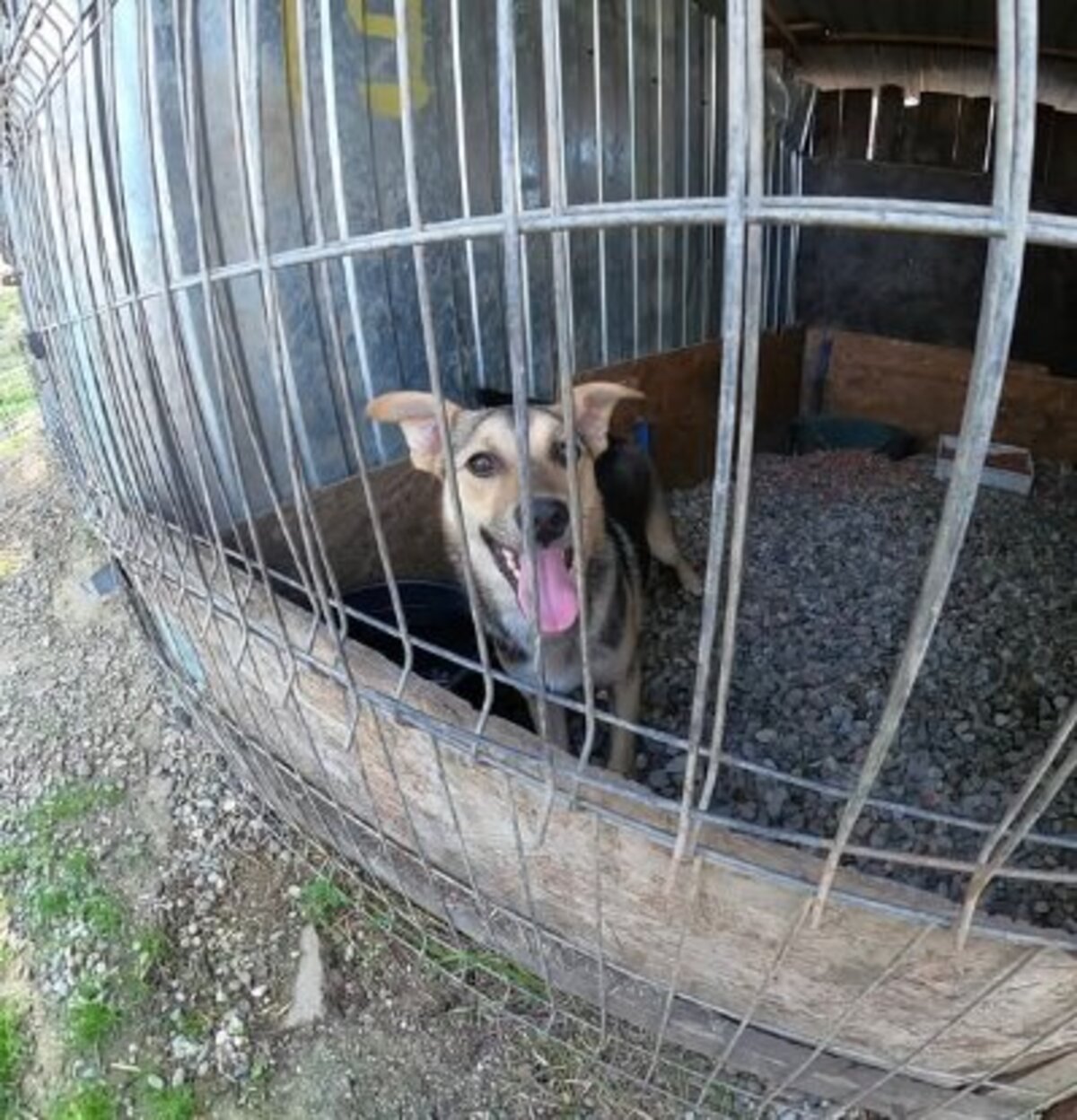 Adoption Bélize