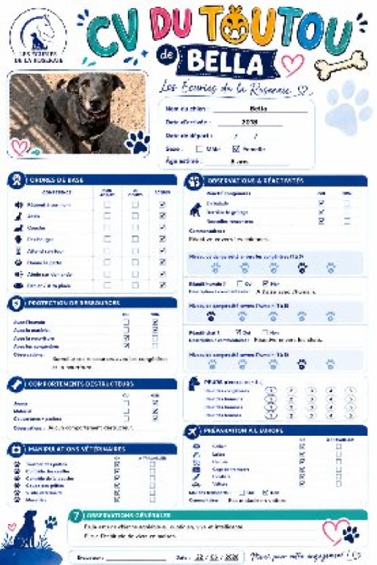 Adoption Bella
