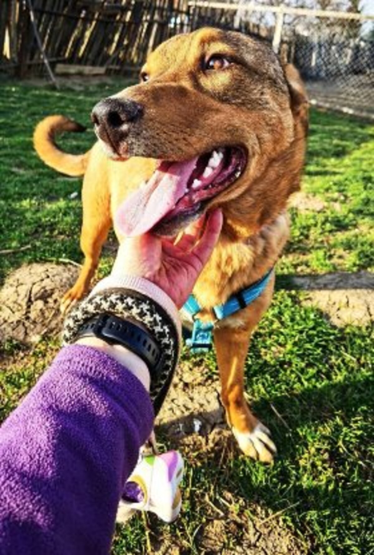 Adoption Beni