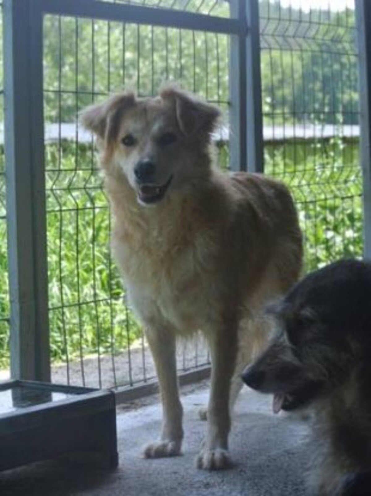 Adoption Bercy