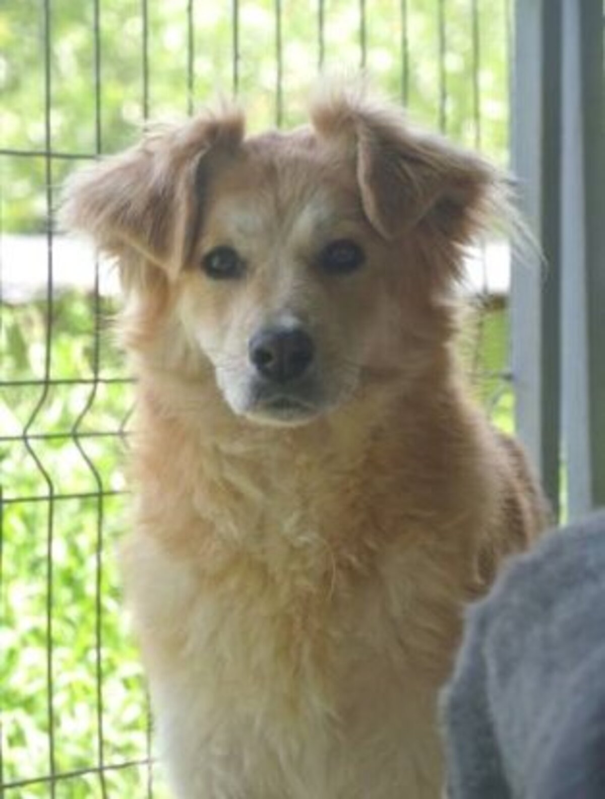 Adoption Bercy
