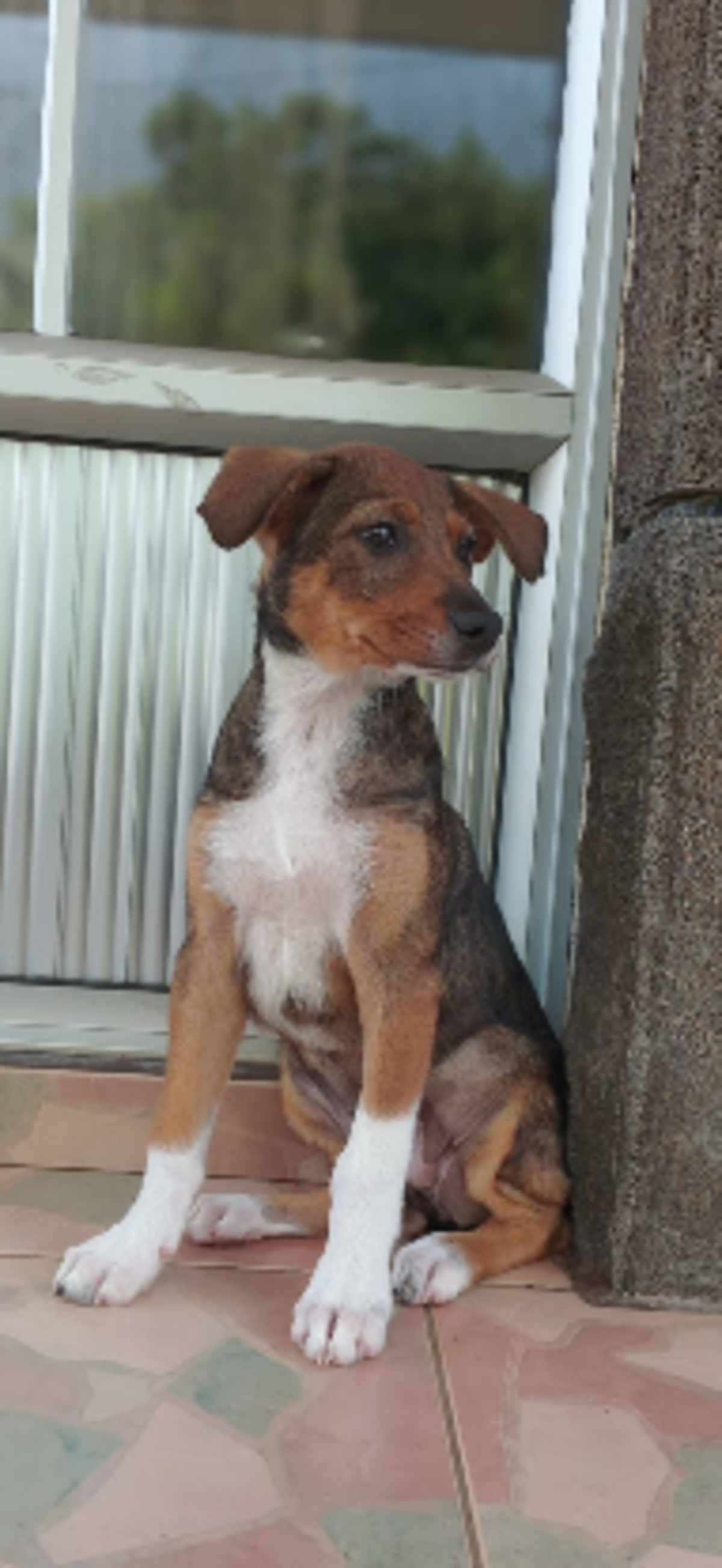 Adoption Betsy