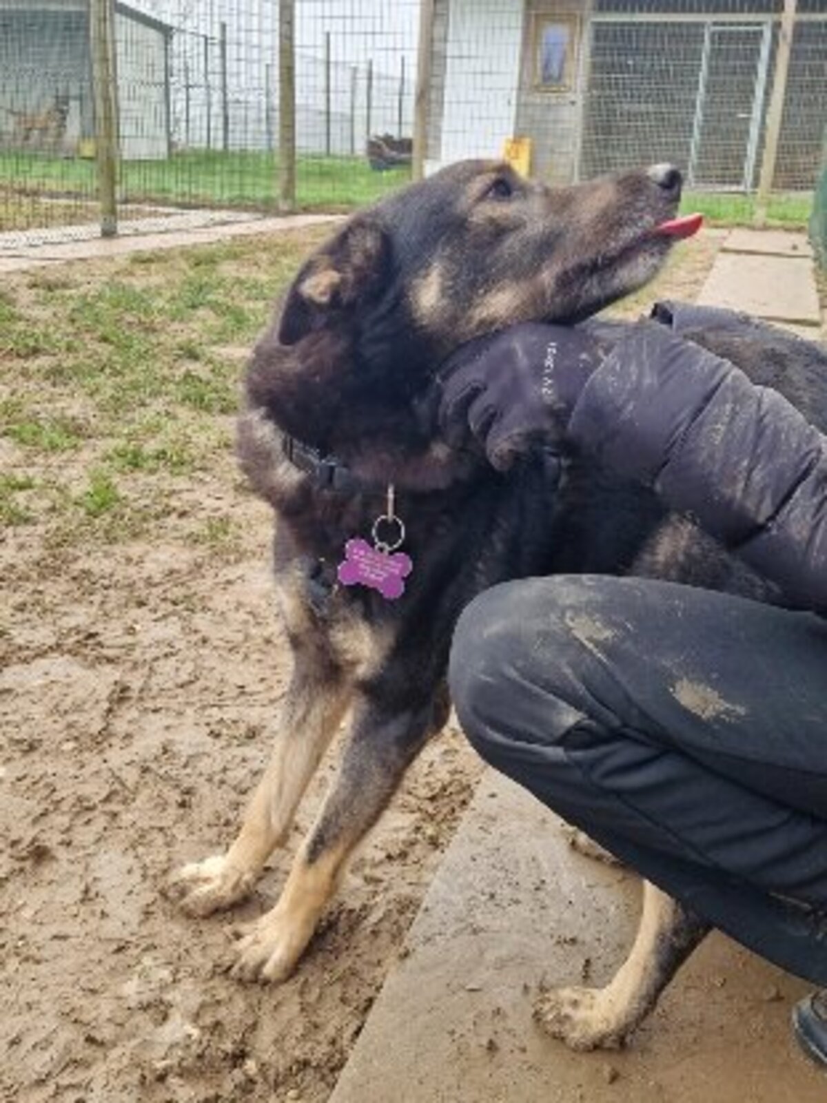 Adoption Bonnie