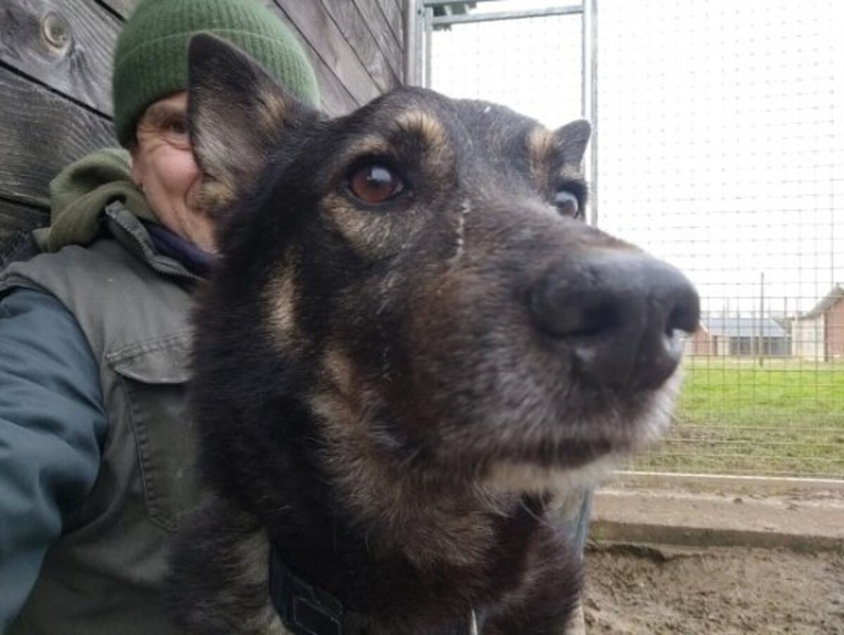 Adoption Bonnie