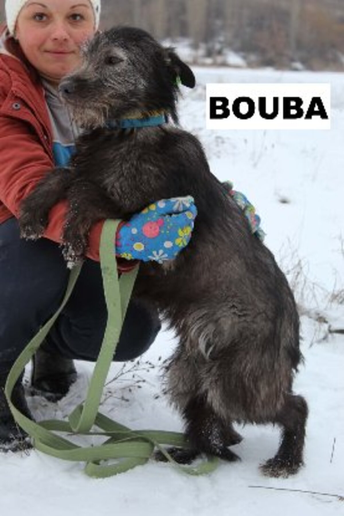Adoption Bouba