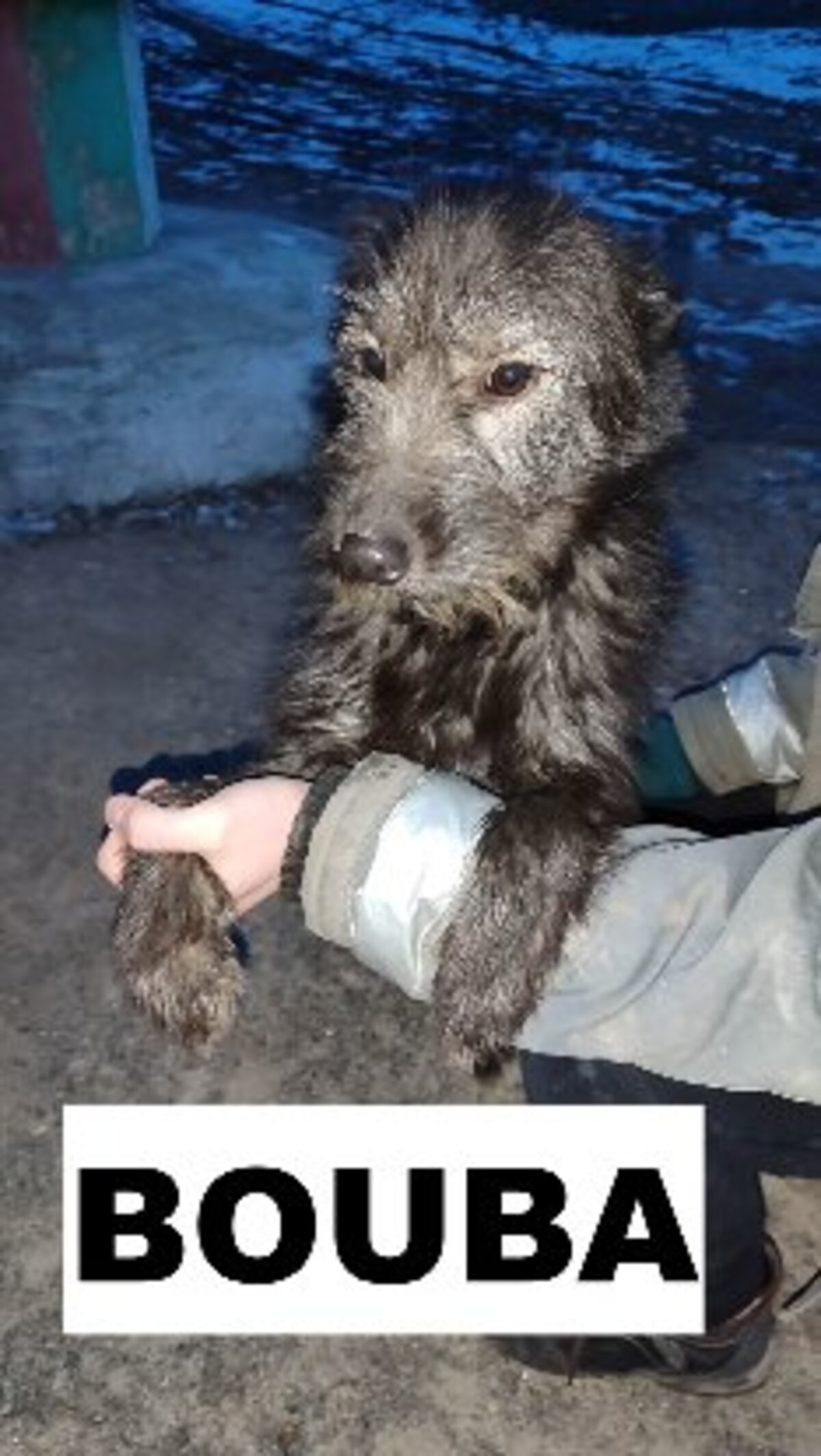 Adoption Bouba
