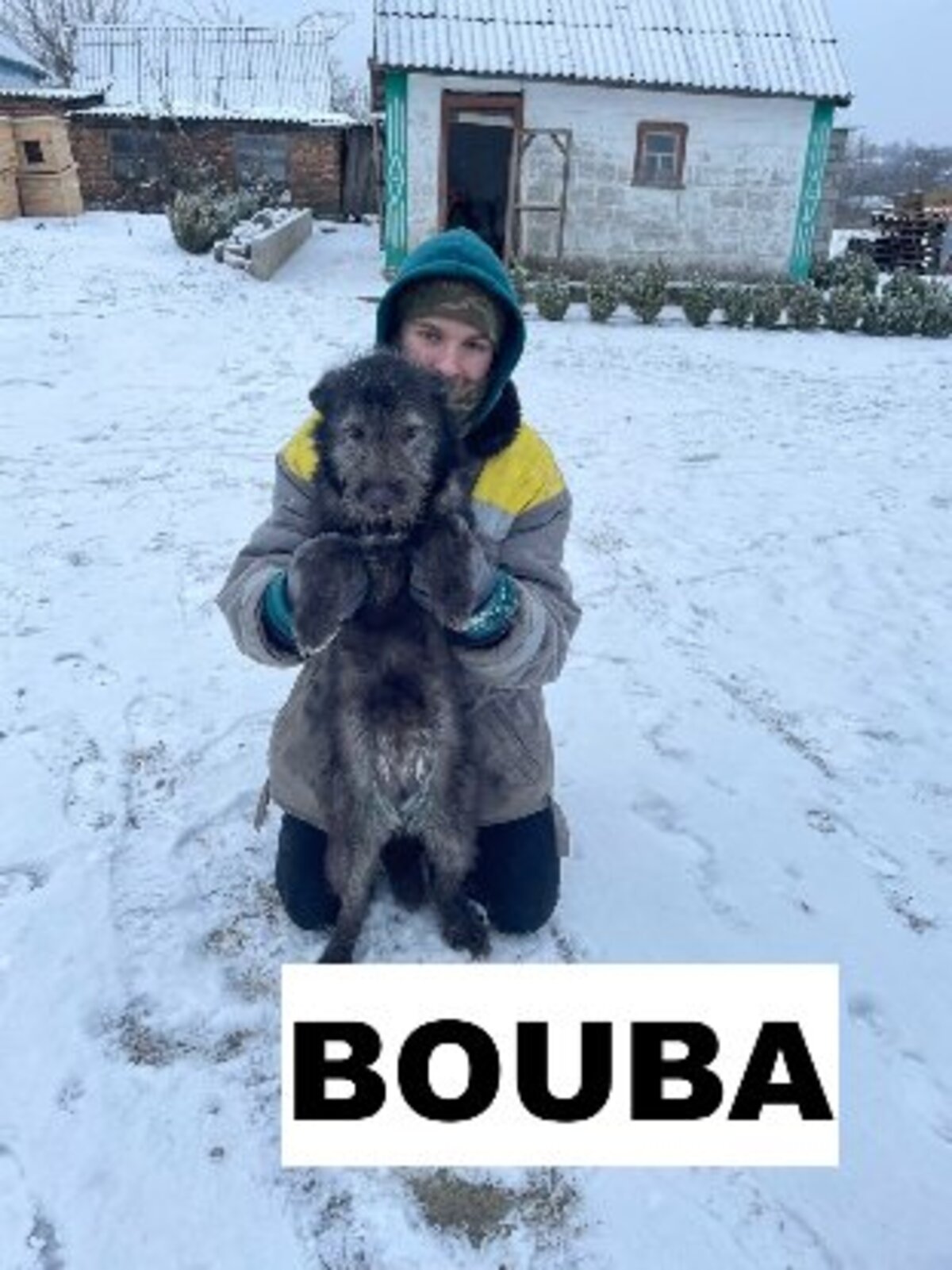 Adoption Bouba