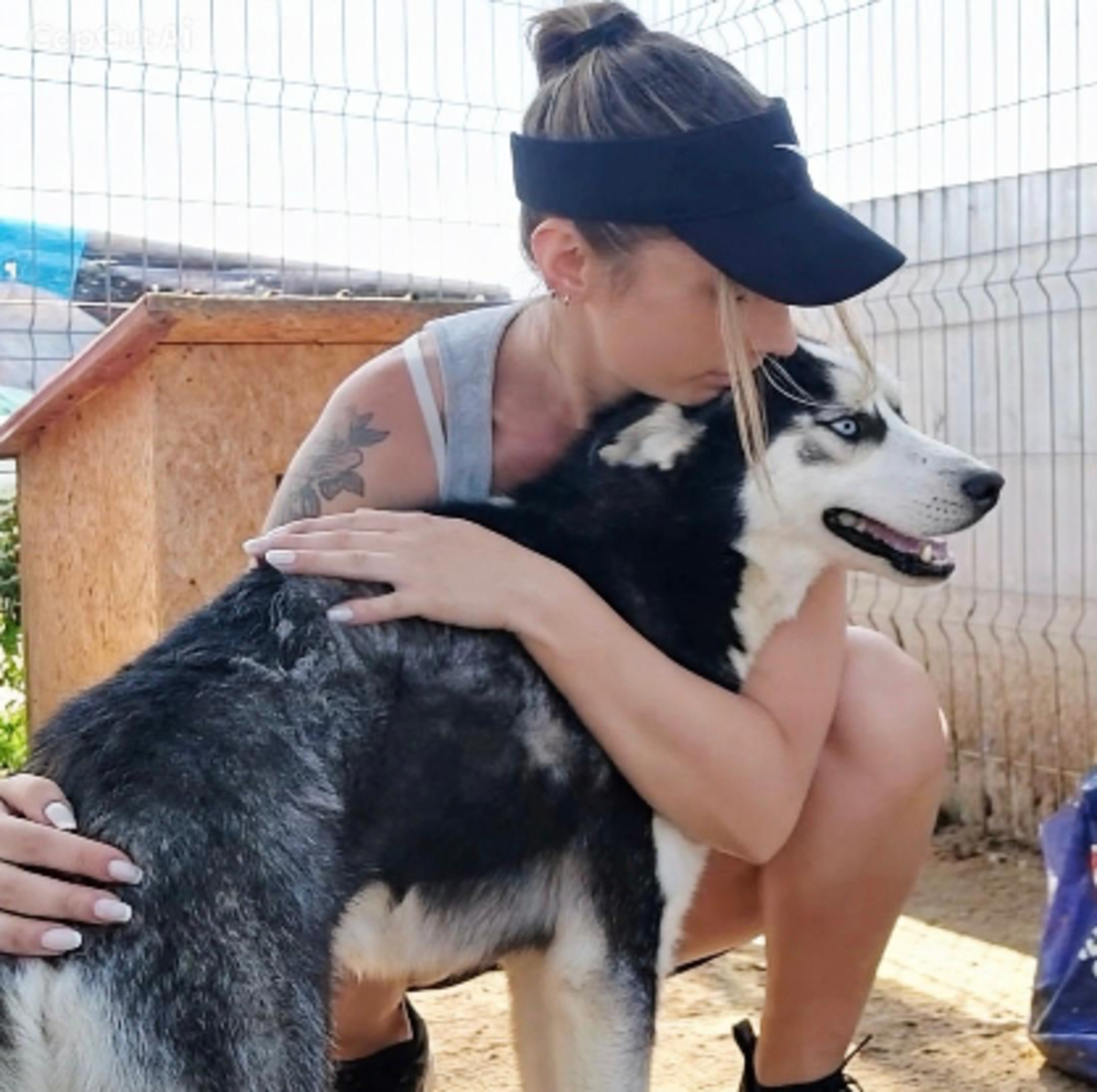 Adoption Buddy