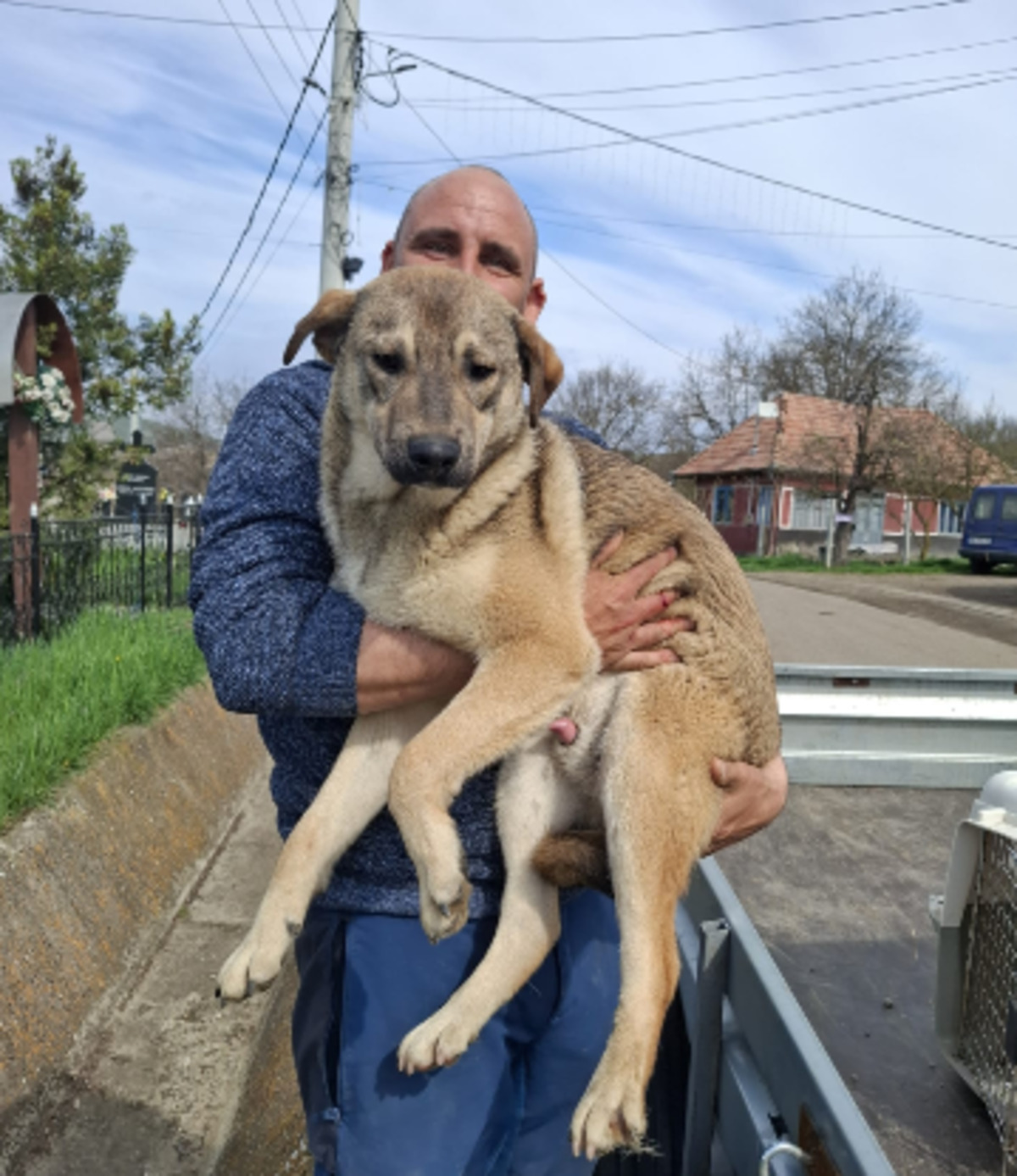 Adoption Camil