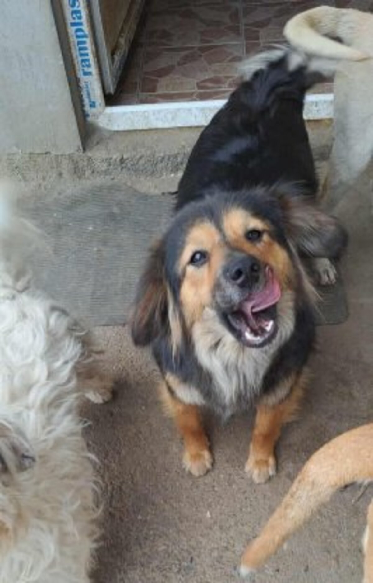 Adoption Carla