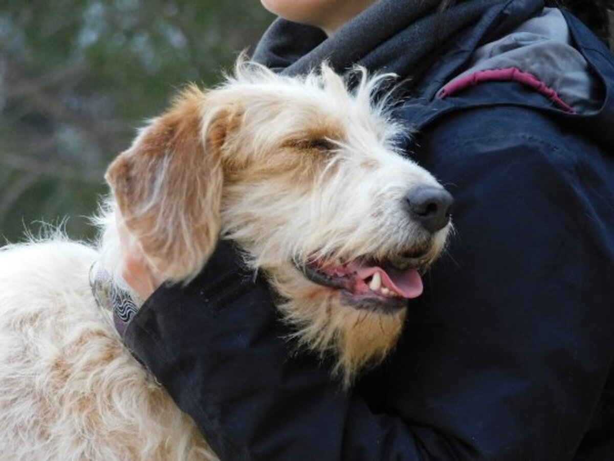 Adoption Charco