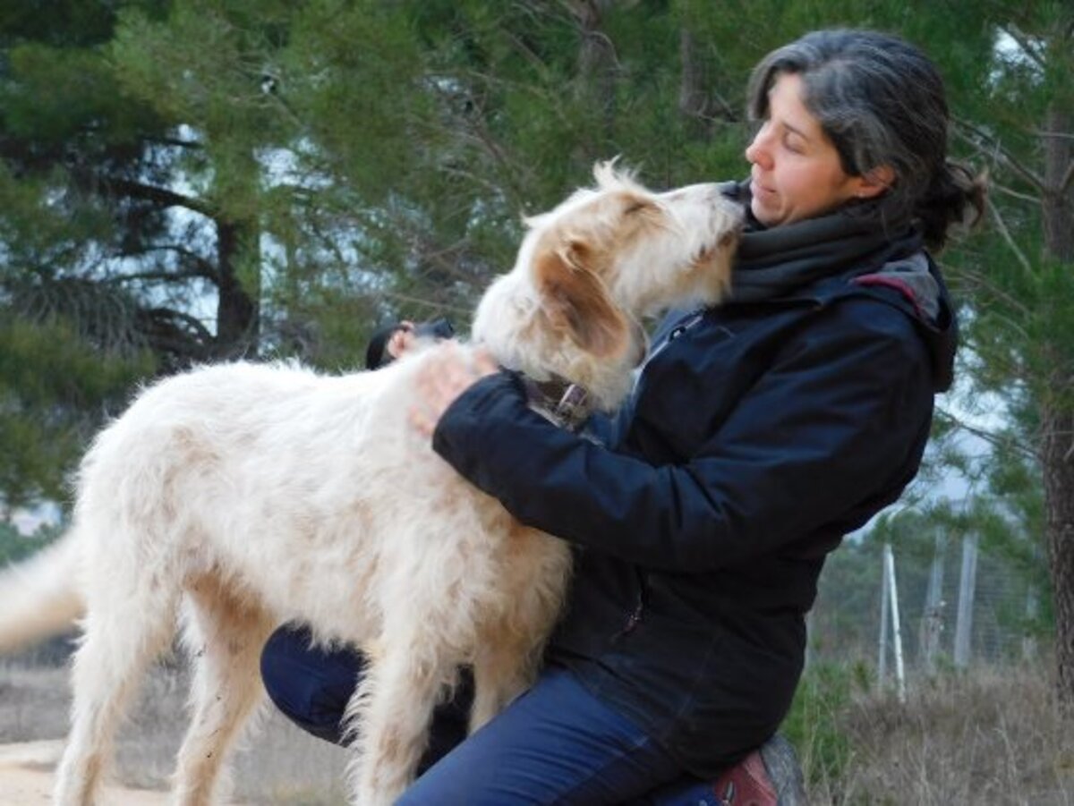 Adoption Charco