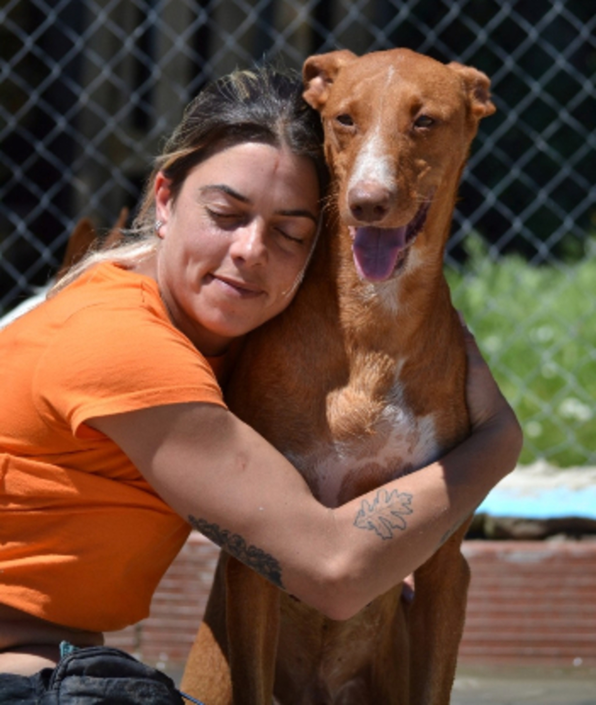 Adoption Coco