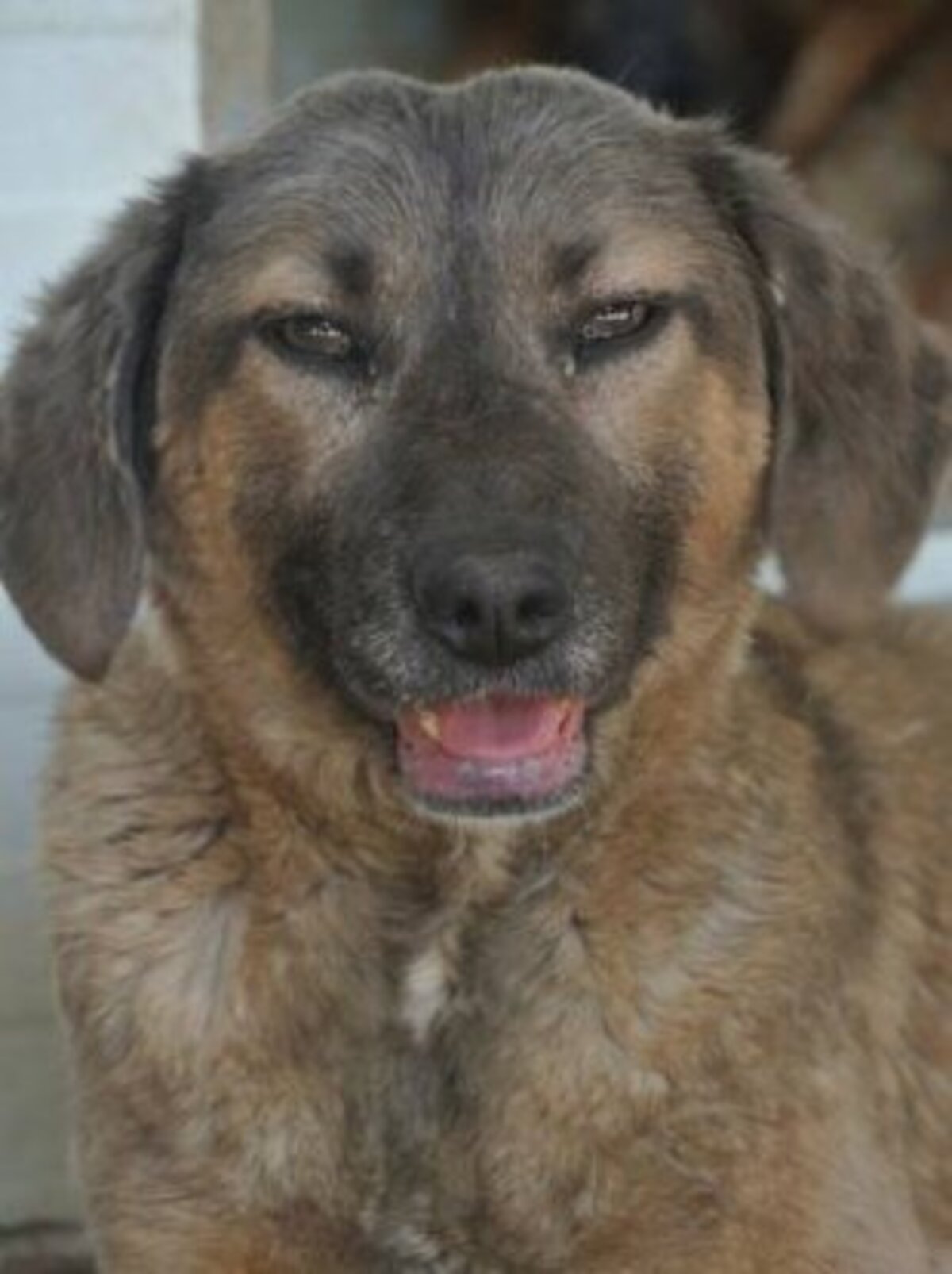 Adoption Courtney