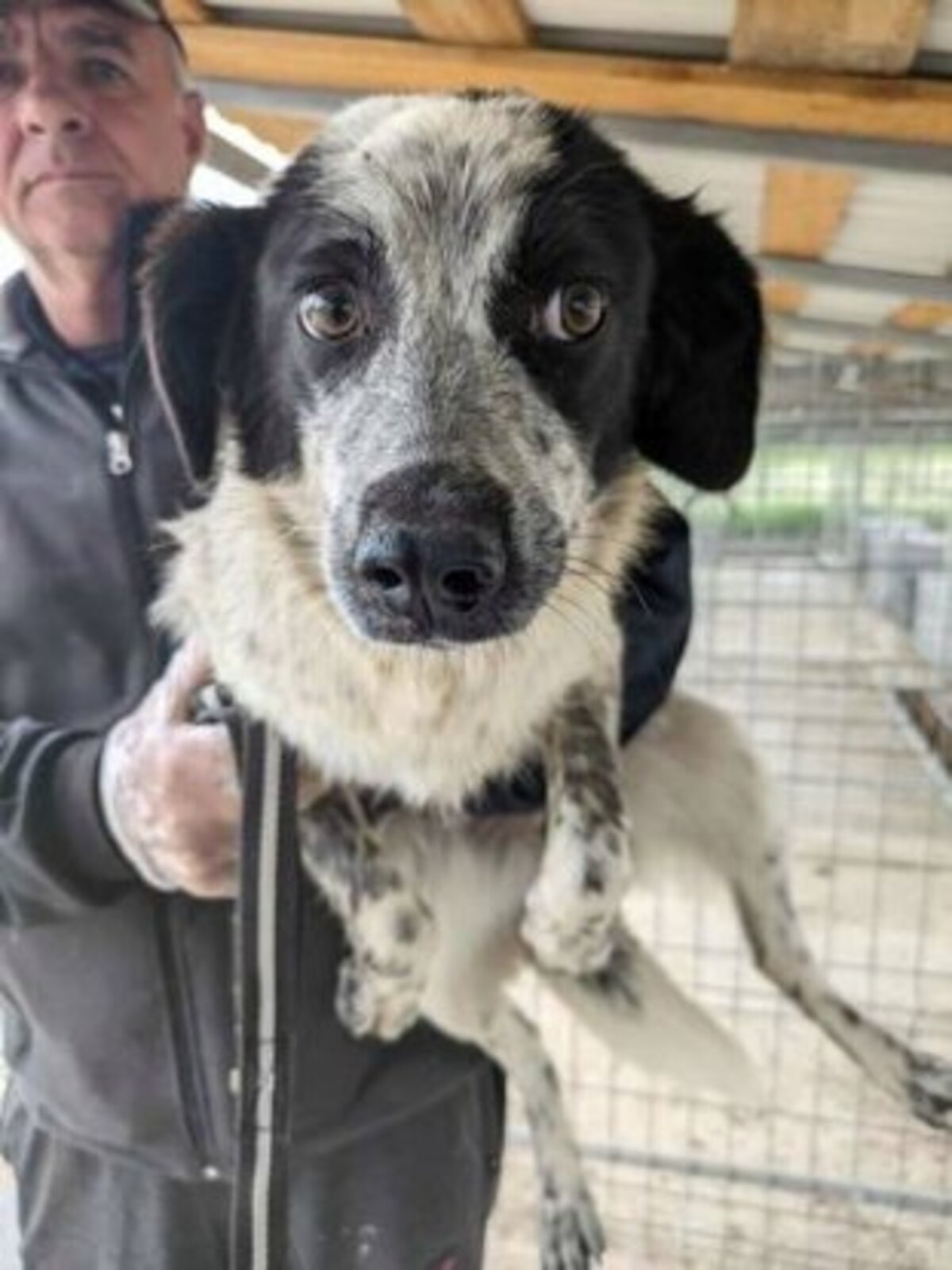 Adoption Deltyva