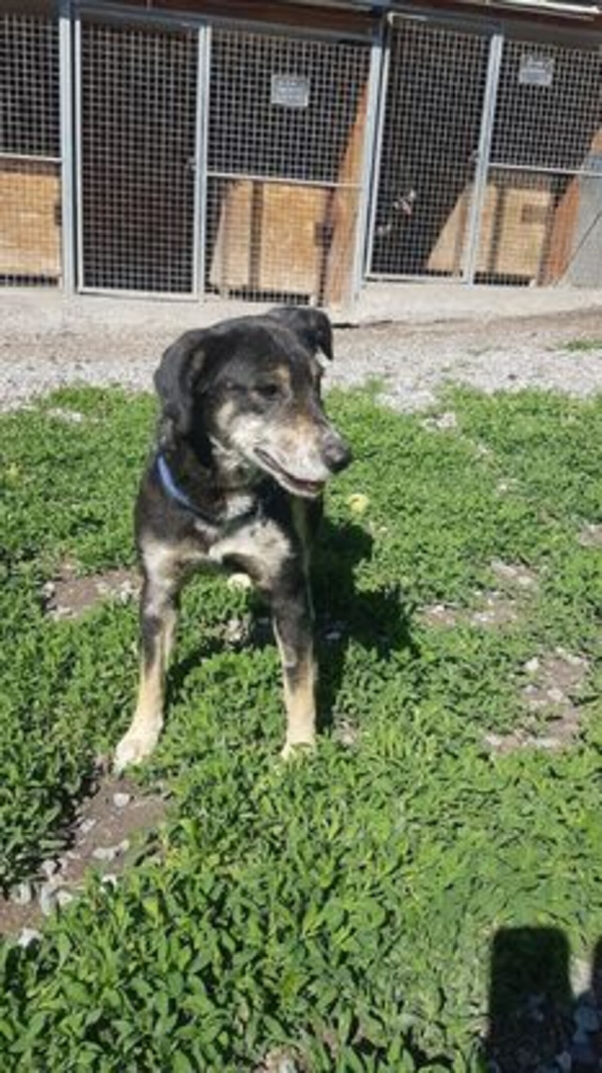 Adoption Fiona