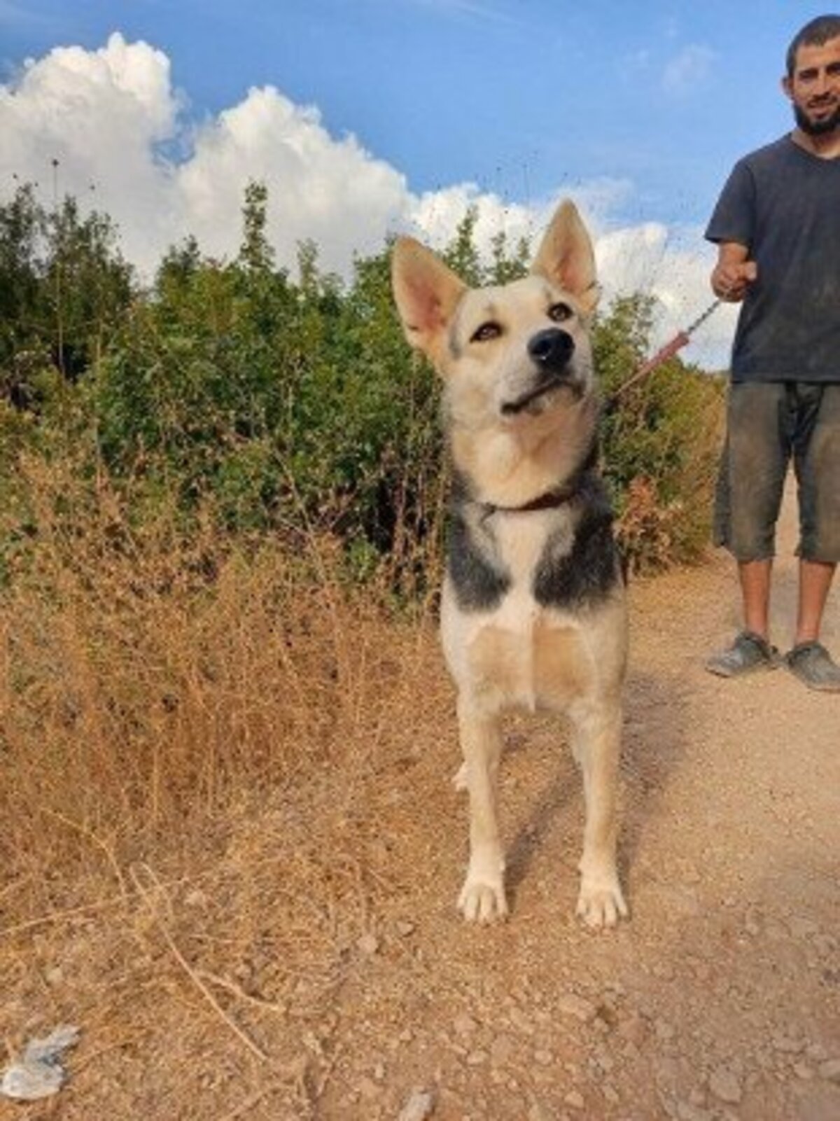 Adoption Fiona