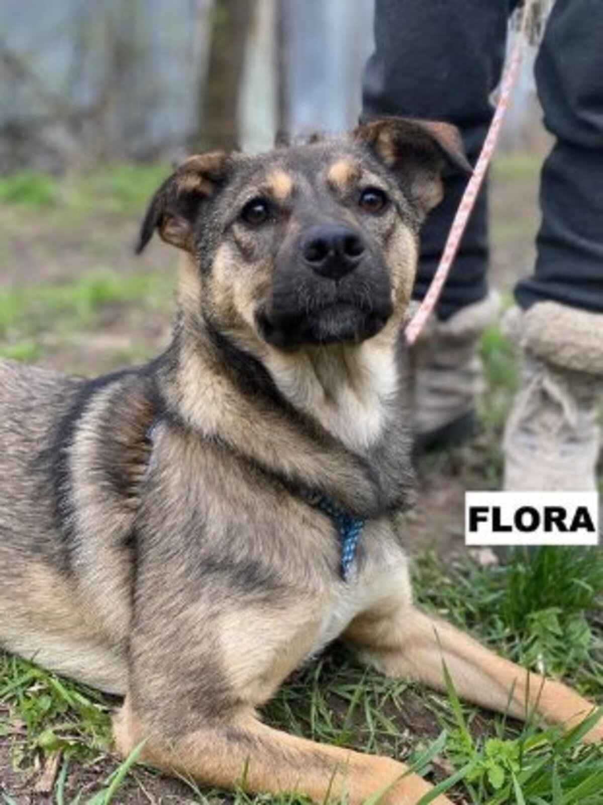 Adoption Flora
