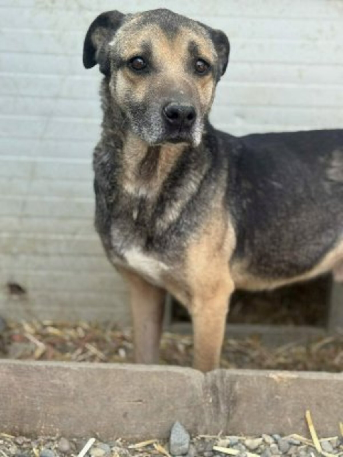 Adoption Gabin