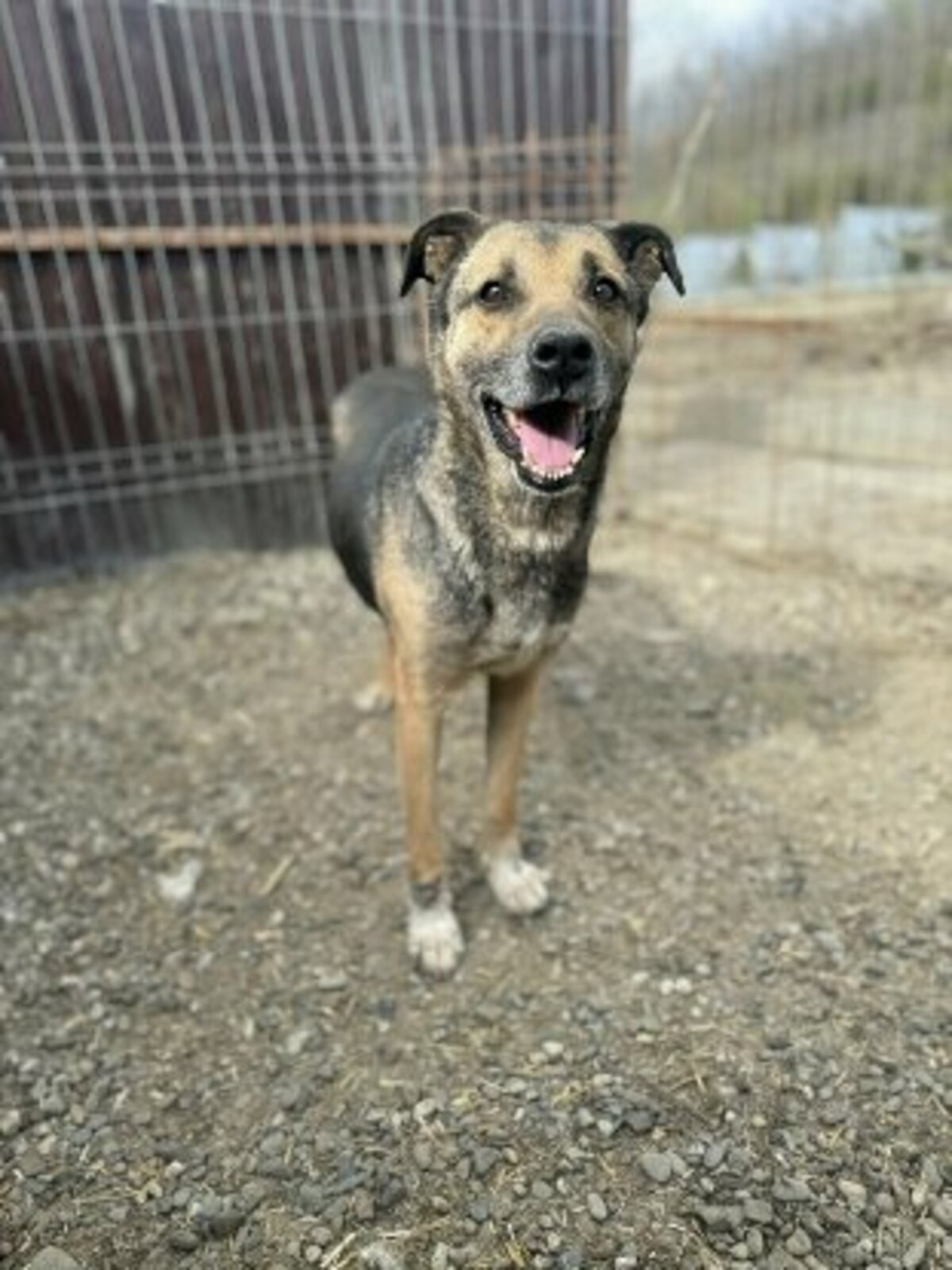 Adoption Gabin