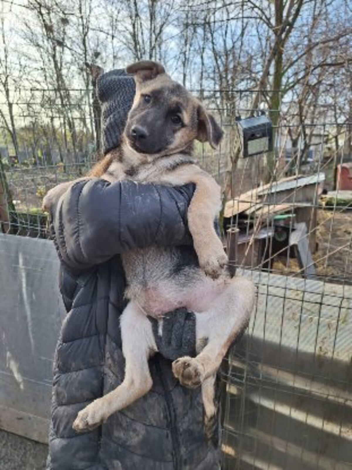 Adoption Grigri