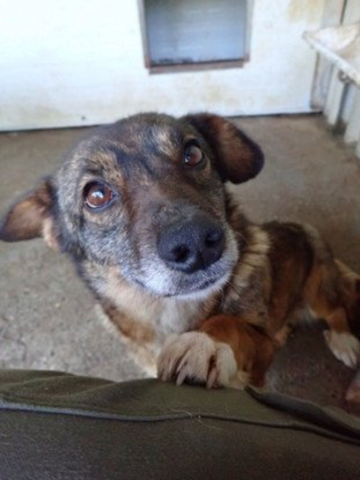 Adoption Irma