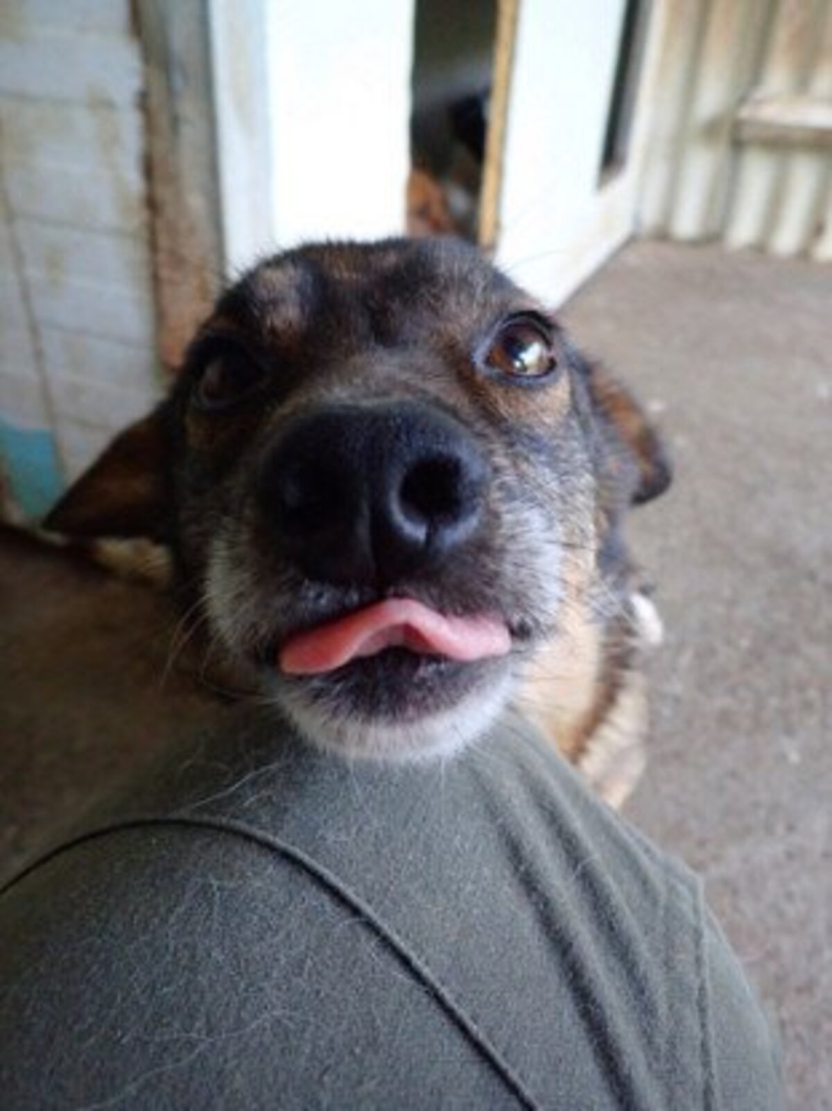 Adoption Irma
