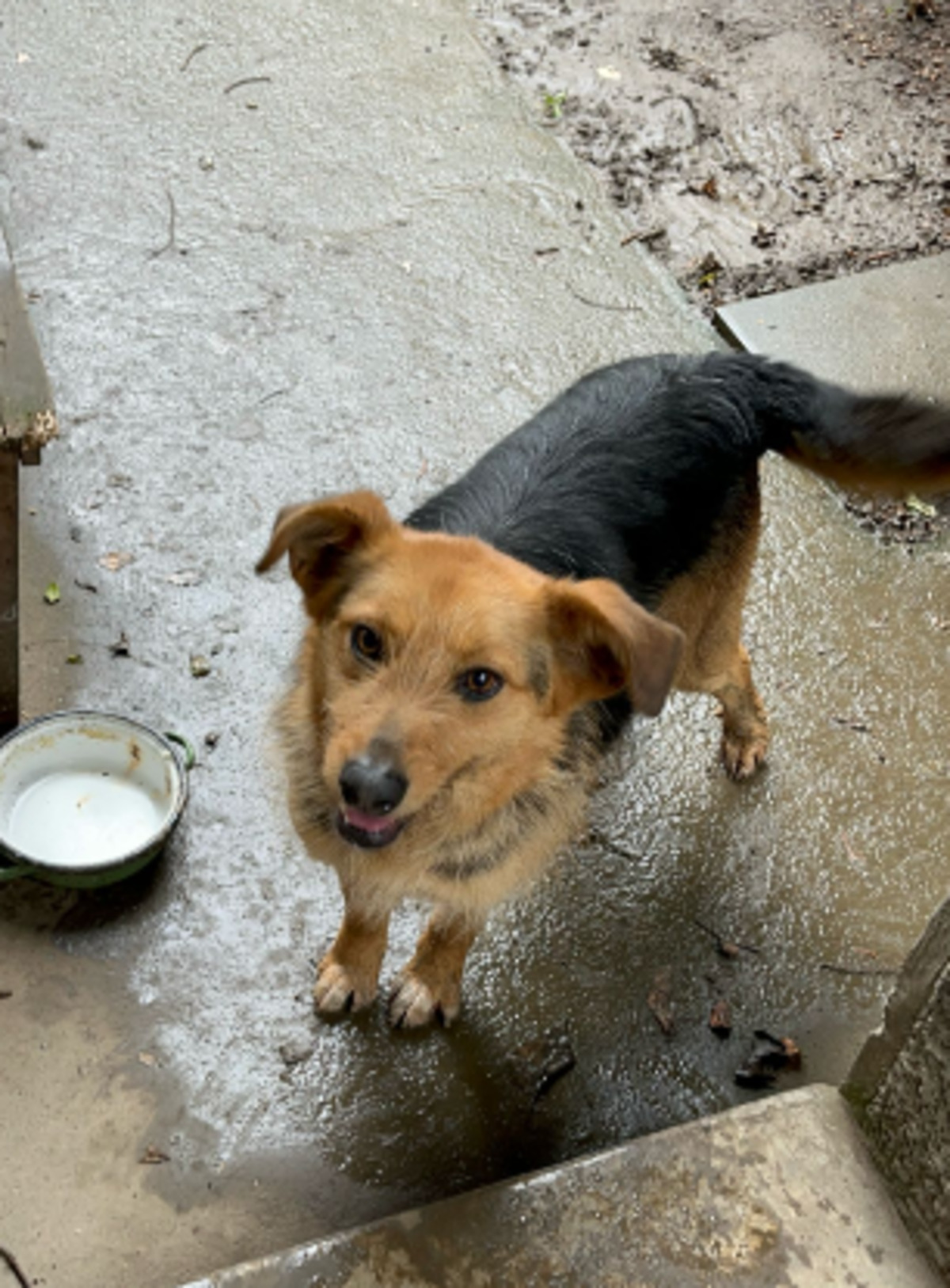 Adoption Issa