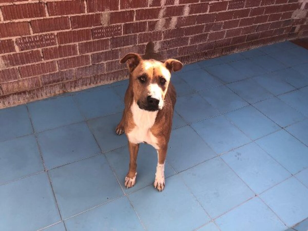 Adoption Jacki
