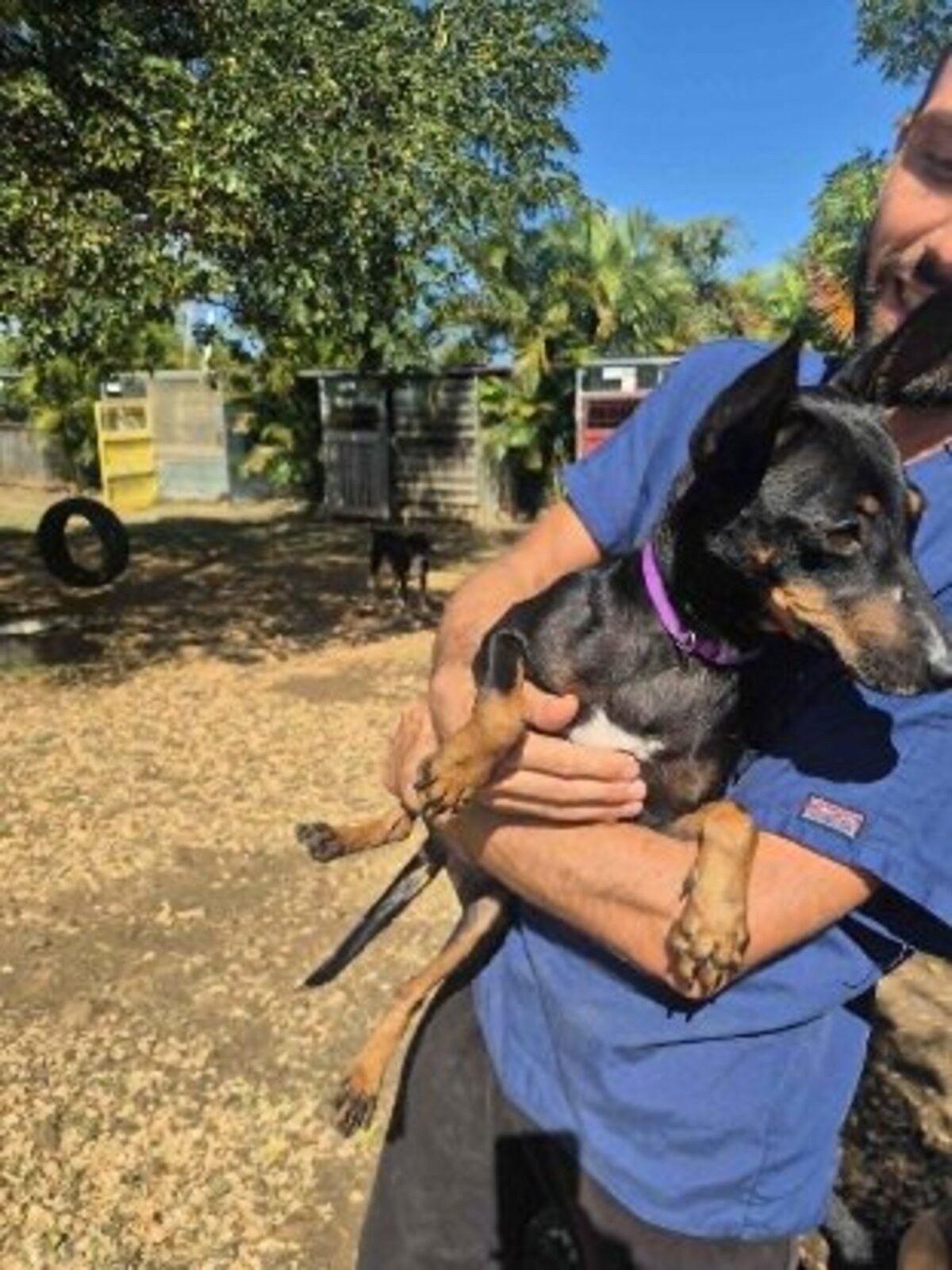 Adoption Joy