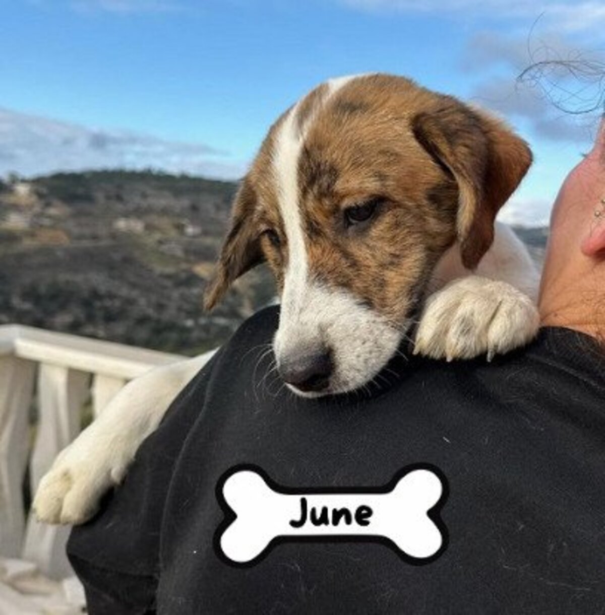 Adoption June