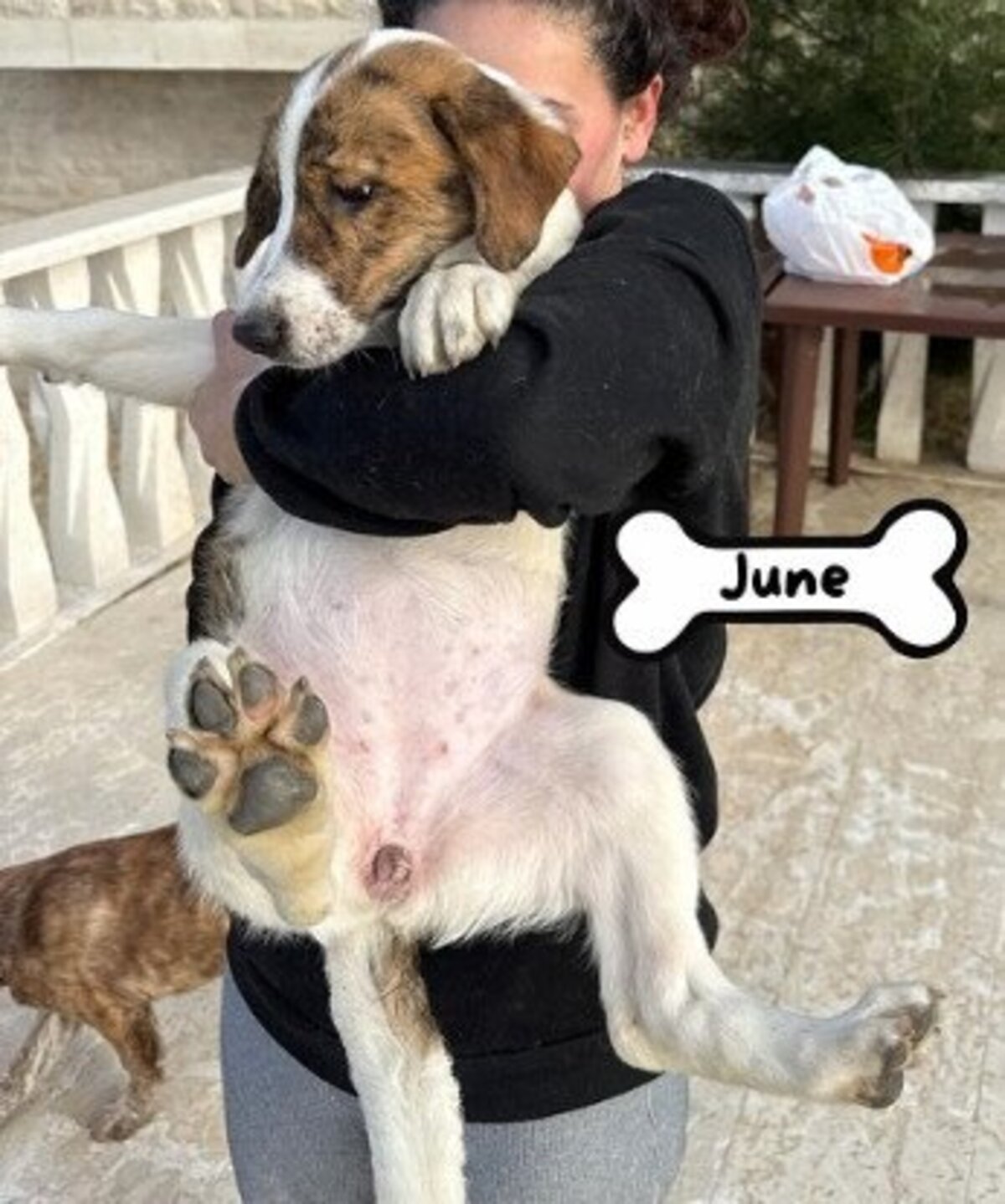 Adoption June