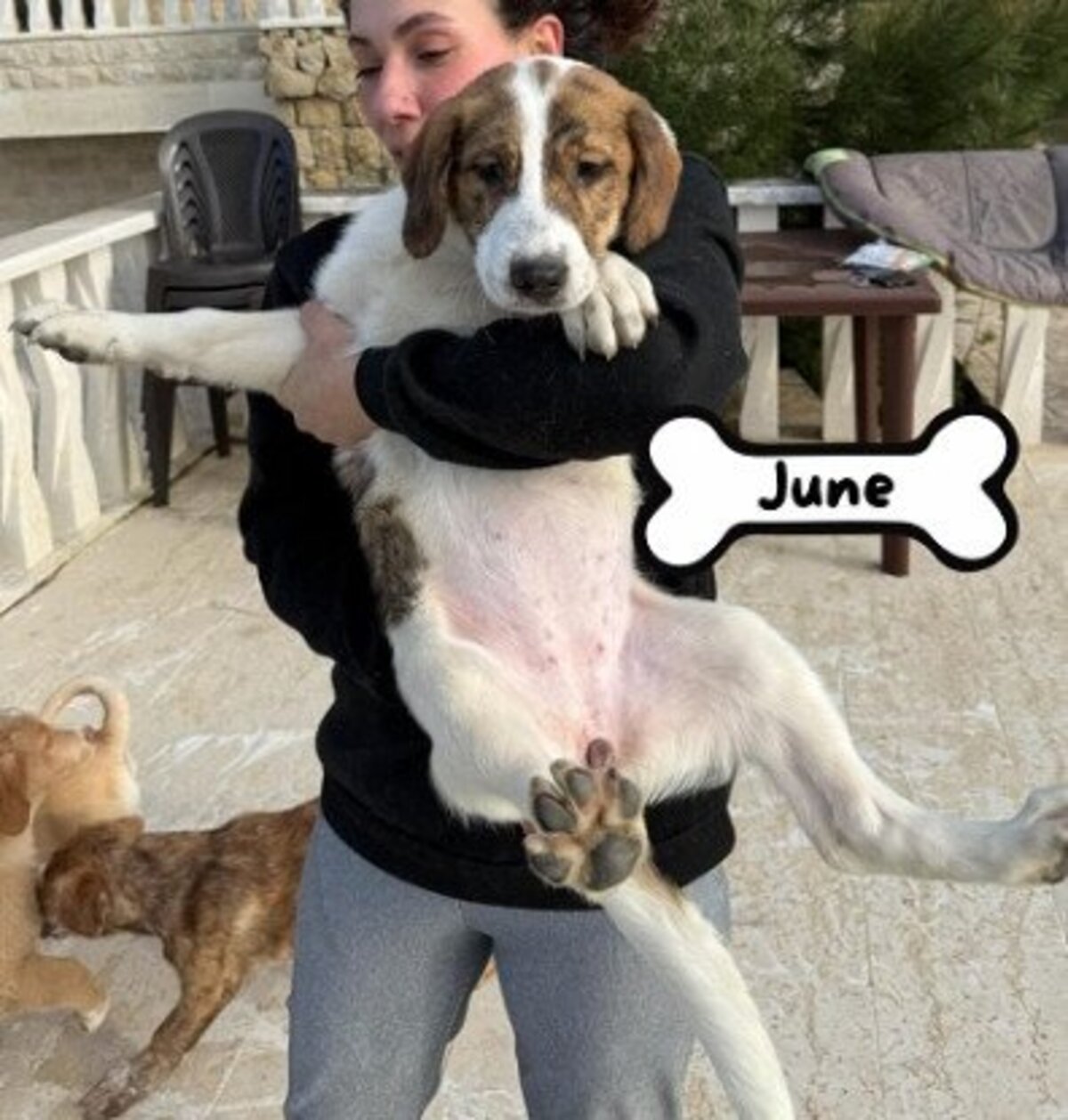 Adoption June