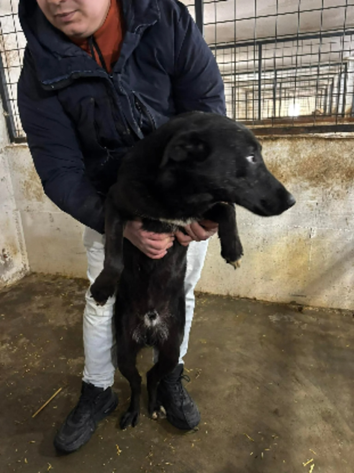 Adoption Kairos